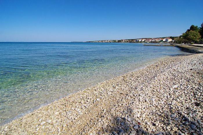 Leona * Zadar